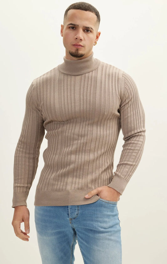 Roll Neck Ribbed Sweater Vizon