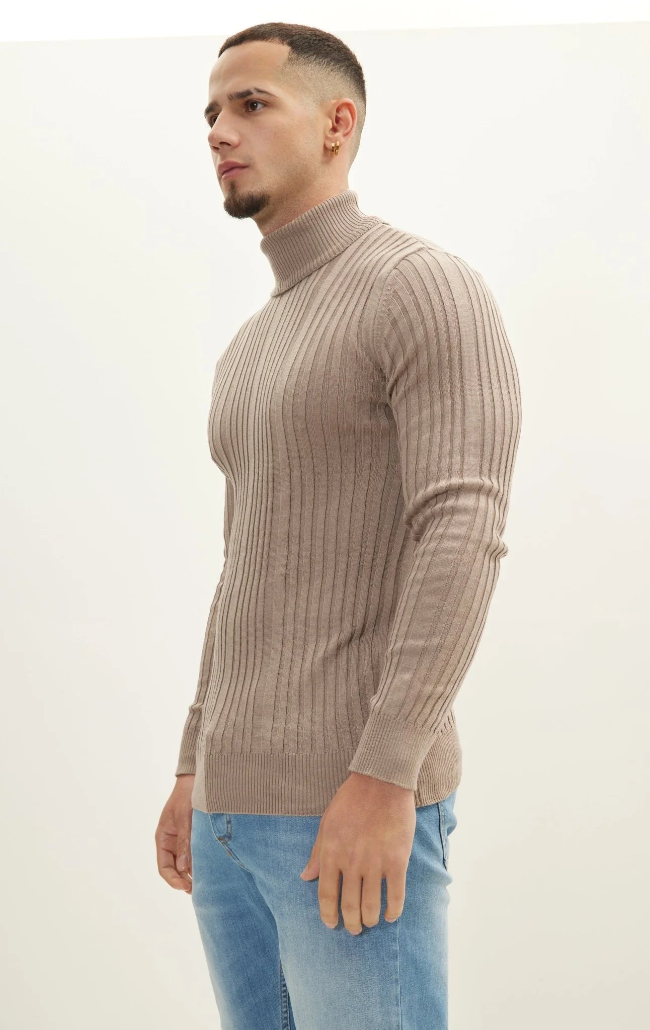 Roll Neck Ribbed Sweater Vizon